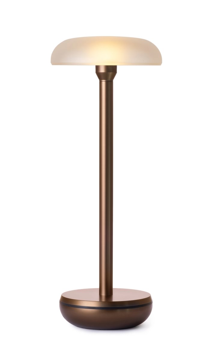 Air Bronze Frosted